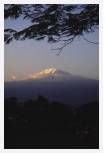 Kilimanjaro from Moshi * 3459 x 5238 * (9.23MB)